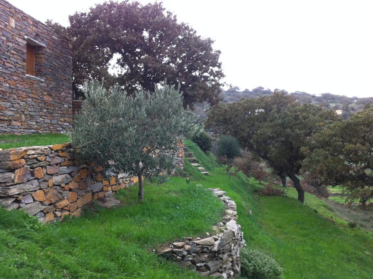 Under Royal Oaks Villa Pera Meria Bagian luar foto